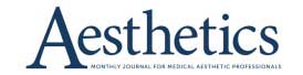 Aesthetics Journal Logo